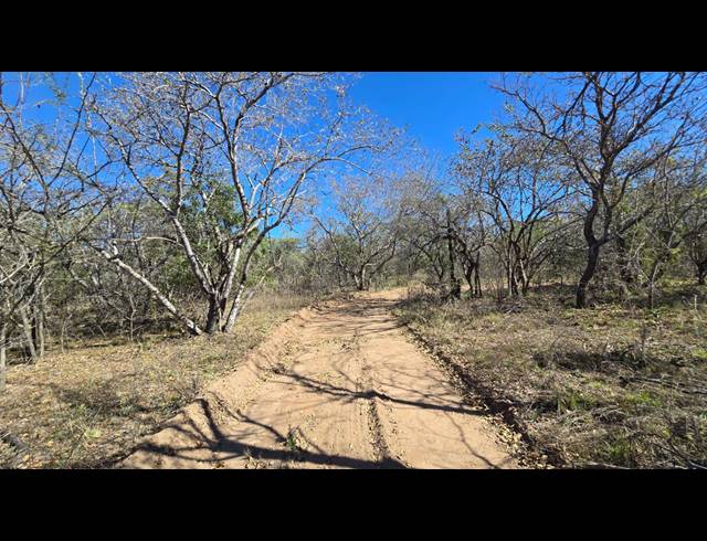 8.50HA SMALLHOLDING FOR SALE IN BELA BELA RURAL